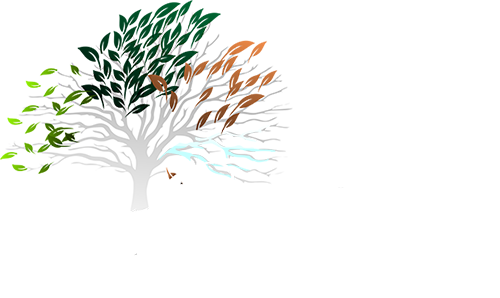 All Seasons Family Health Care logo in Wasilla, AK